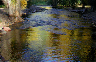 Northern New Mexico Fly Fishing
