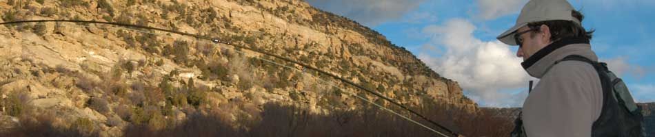 Fly Fishing the Rio Grande