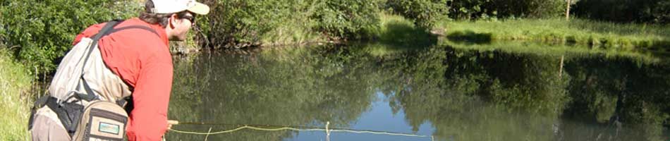 Fly fishing the Pecos watershed.