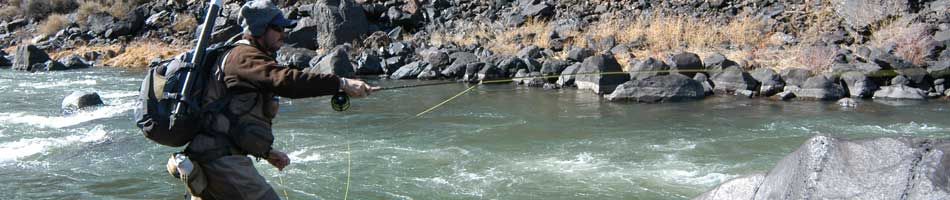 Fly Fishing on the Rio Grande