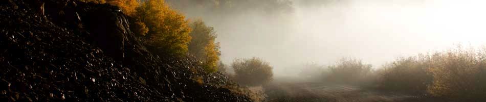 Northern New Mexico foggy morning