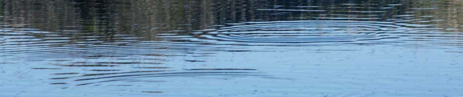 fish rising on a private pond in Northern New Mexico